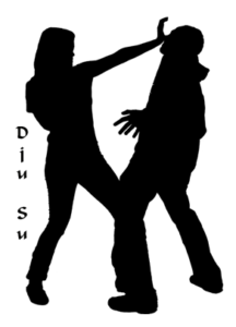 Dju-Su (ab 18 Jahre) @ Budo-Club Viersen e.V.
